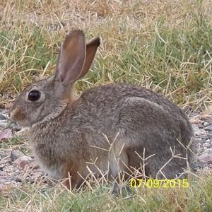 Meet your Posher, Mike - mama